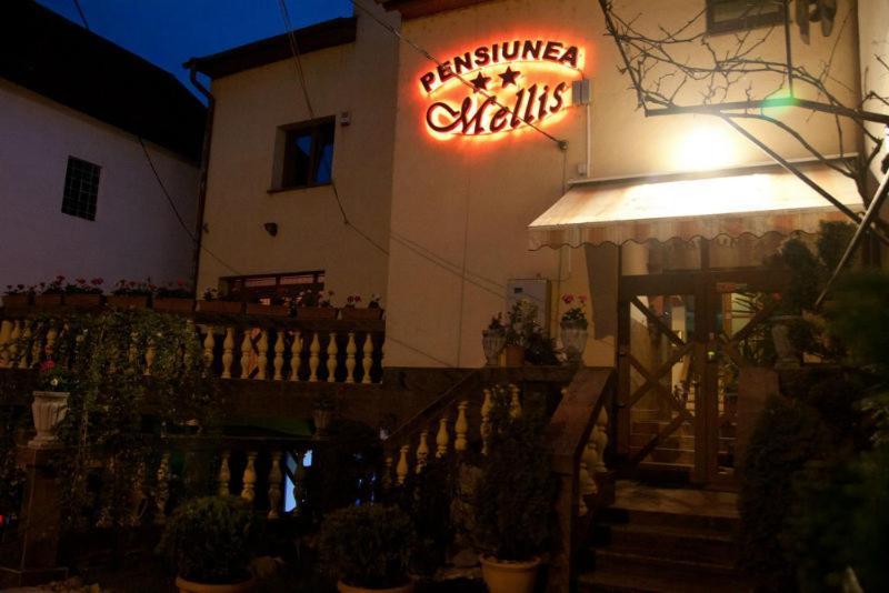 Отель Pension Mellis Cluj Napoca Экстерьер фото